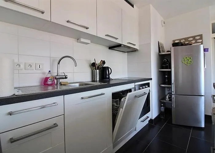 Appartement Annonce Professionnelle. 2 Avec Terrasse Sud, à 50m De La Plage, Pour 4 à 5 Personnes